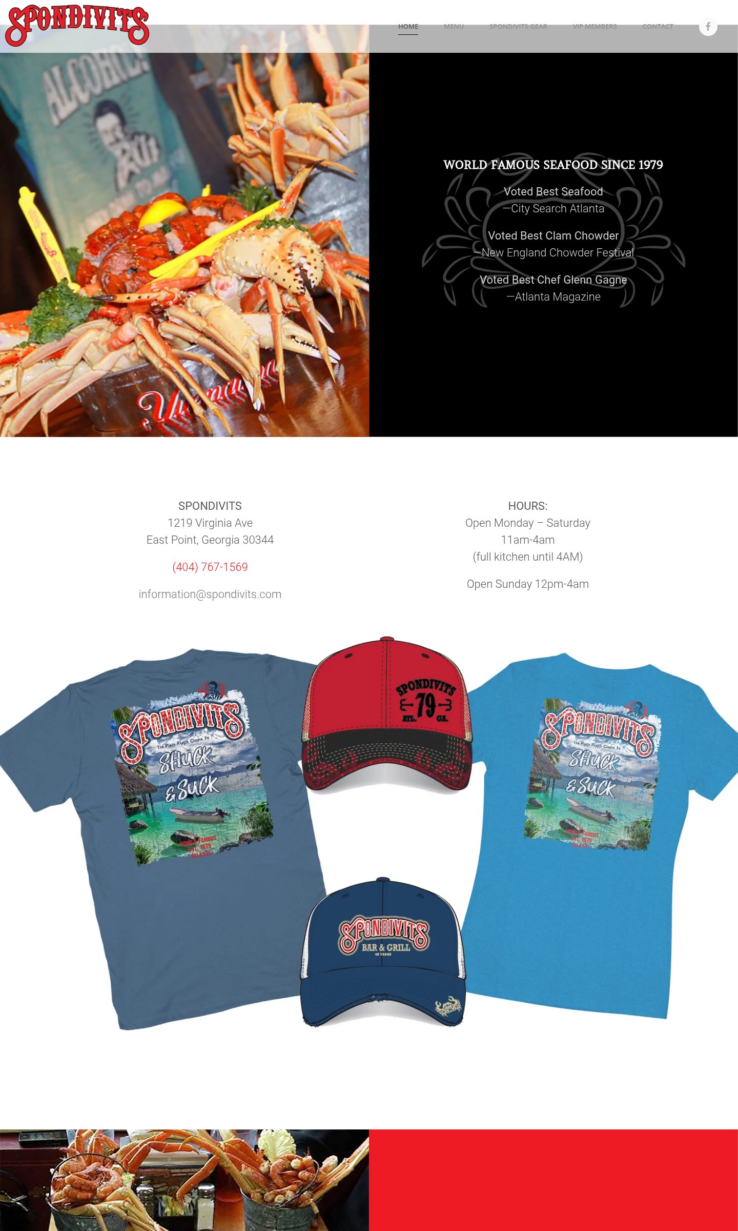 Spondivits website on desktop